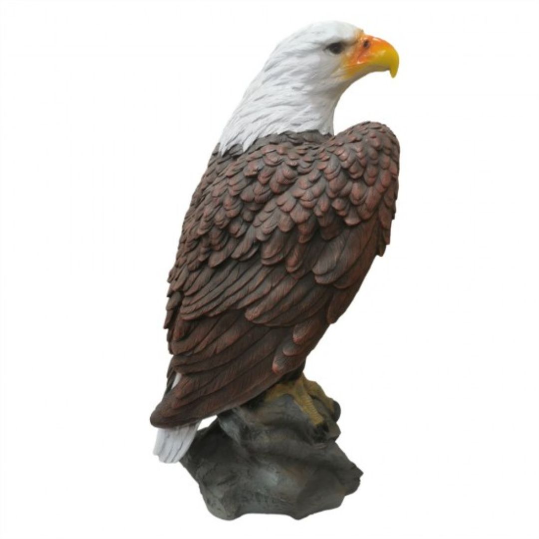 Eagle Fiberglass 62cm