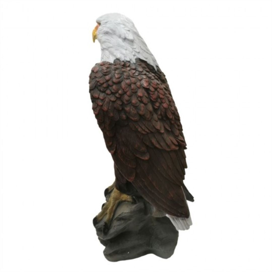 Eagle Fiberglass 62cm