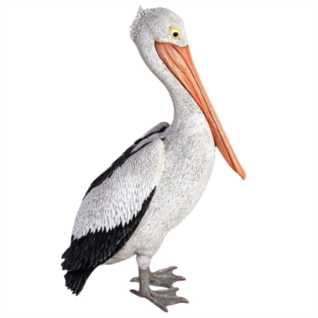 Pelican 57x30.5x86.5cm
