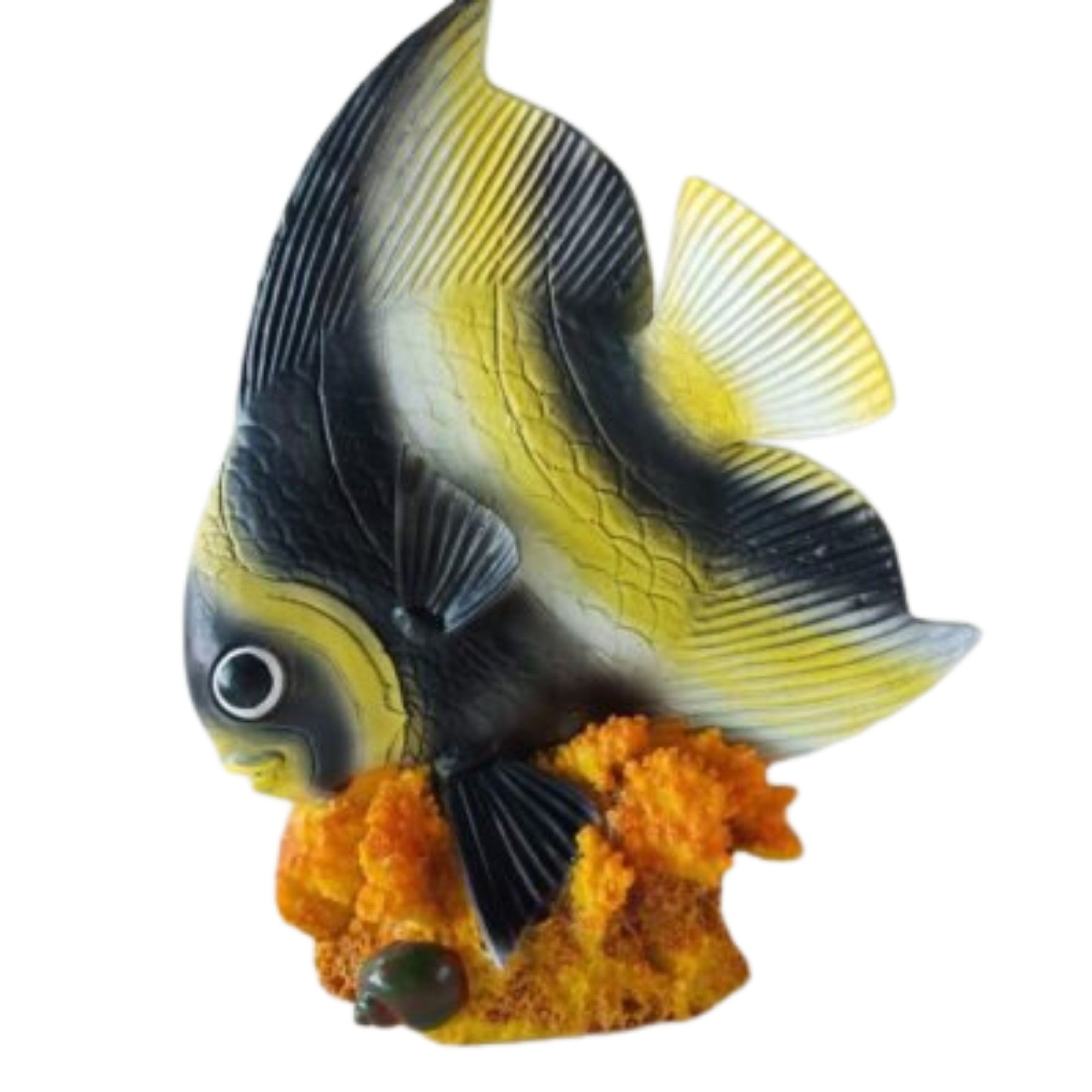 Fish Dory Black