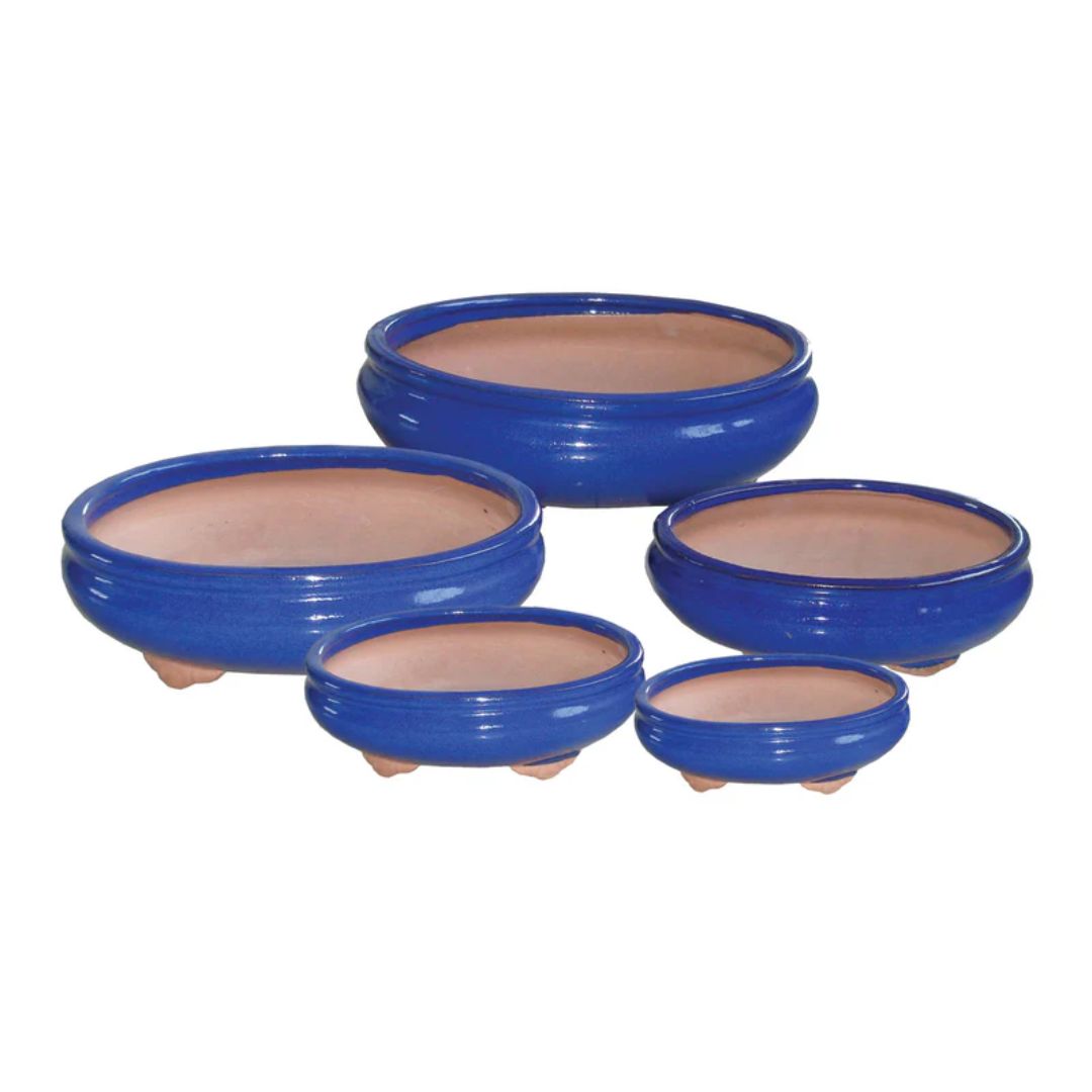Northcote Pottery Izumi Bonsai Oval Pot [sz:large Clr:blue]