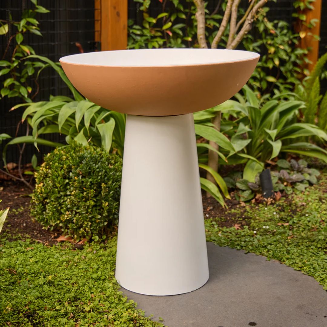 Northcote Pottery Hammond Bird Bath Terracotta/cream 55x65x55cm