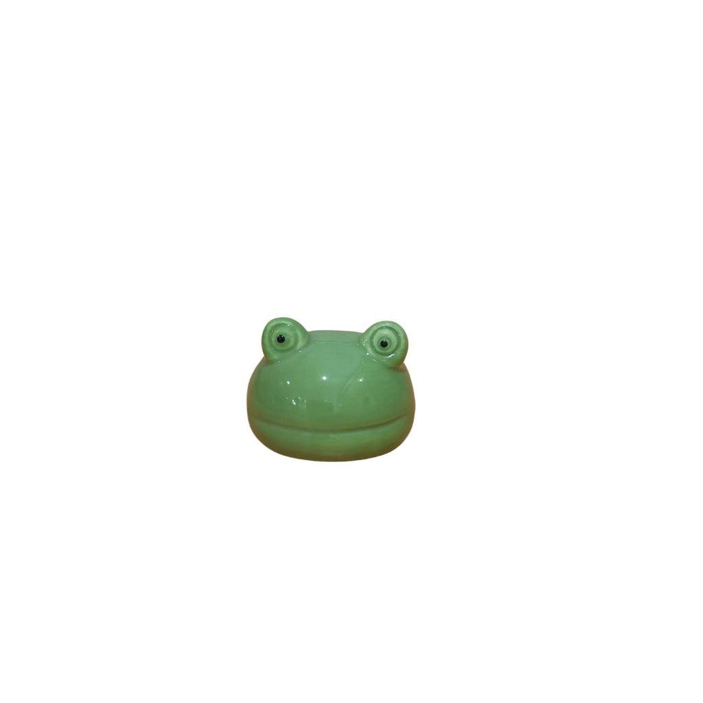 Floating Frog