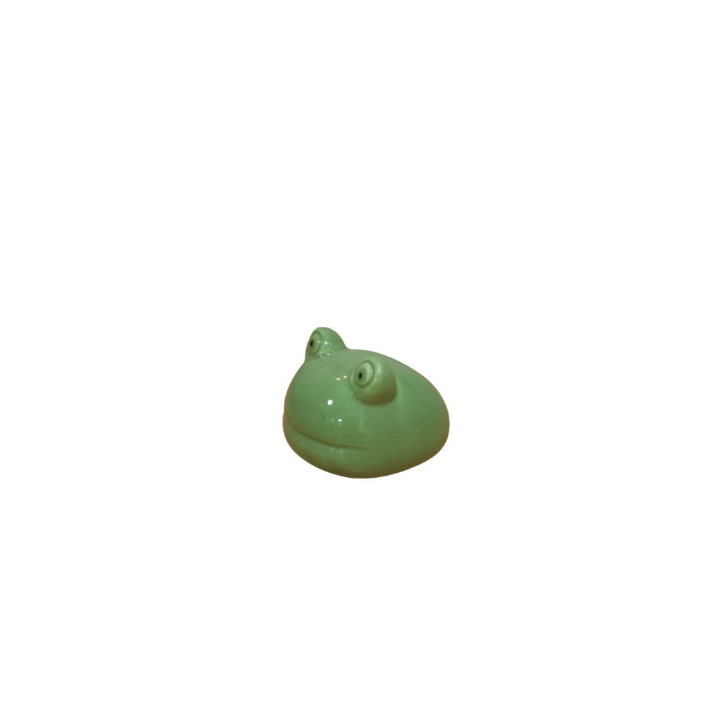 Floating Frog