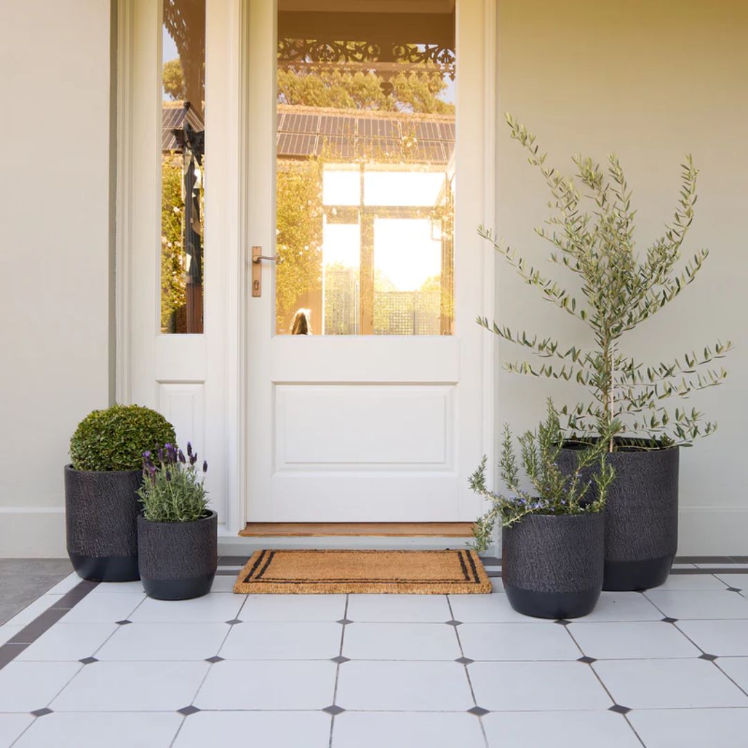 Slate Cylinder Black [sz:medium Clr:black]