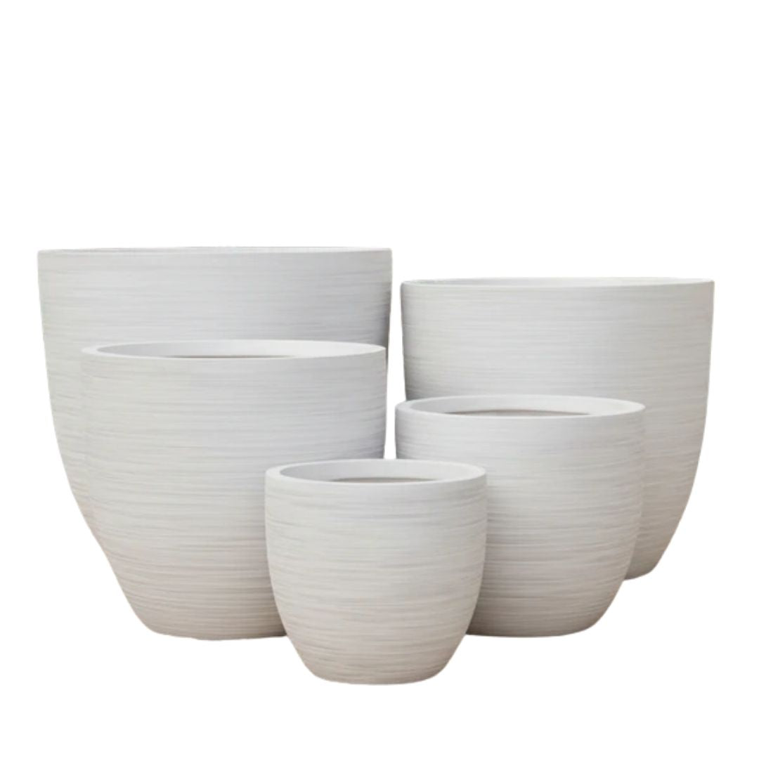 Sirroco Egg White [sz:small Clr:white]