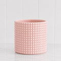 Bella 15cm Pot Blush