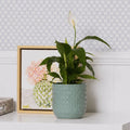 Willow Pot 14.5cm Green