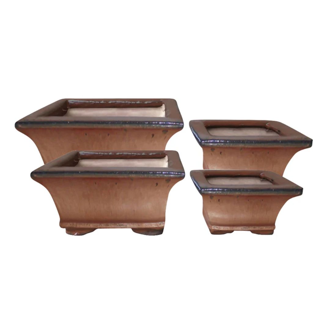 Northcote Pottery Izumi Bonsai Square Pot [sz:medium Clr:copper]