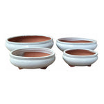 Load image into Gallery viewer, Northcote Pottery Izumi Bonsai Oval Pot [sz:x Small Clr:white]
