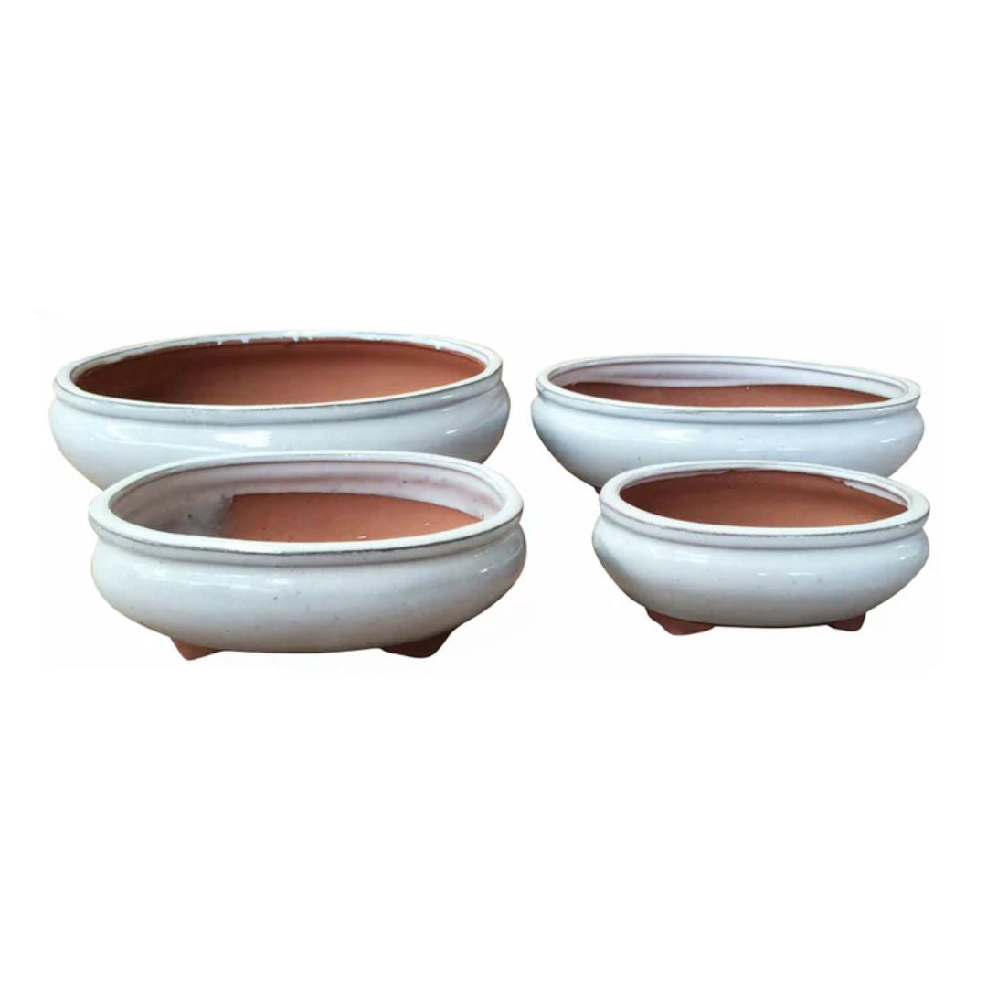 Northcote Pottery Izumi Bonsai Oval Pot [sz:small Clr:white]