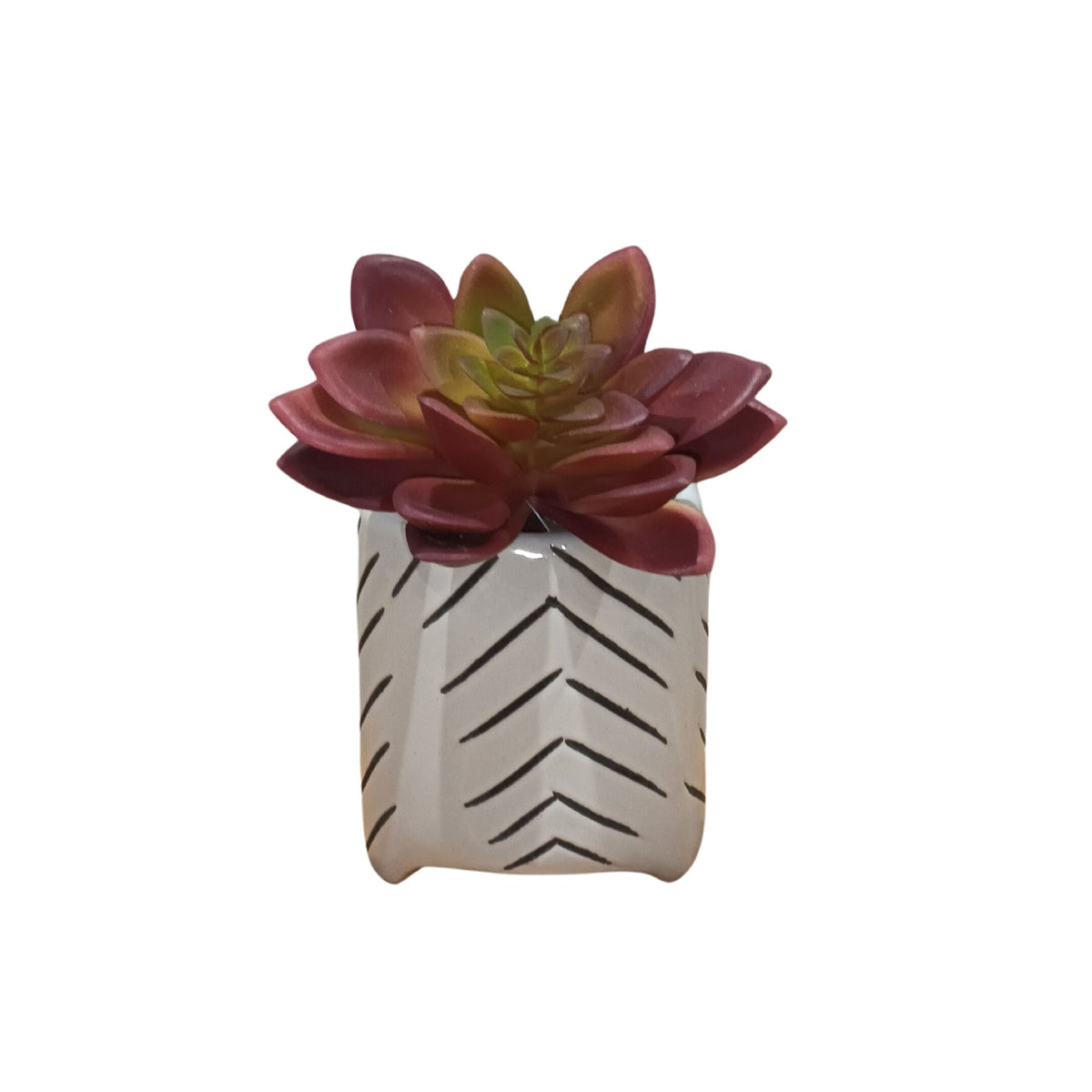 Succulent Footed Pot Dots & Grey