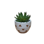 Load image into Gallery viewer, Succulent Mini Cup Pot 
