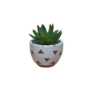 Succulent Mini Cup Pot 