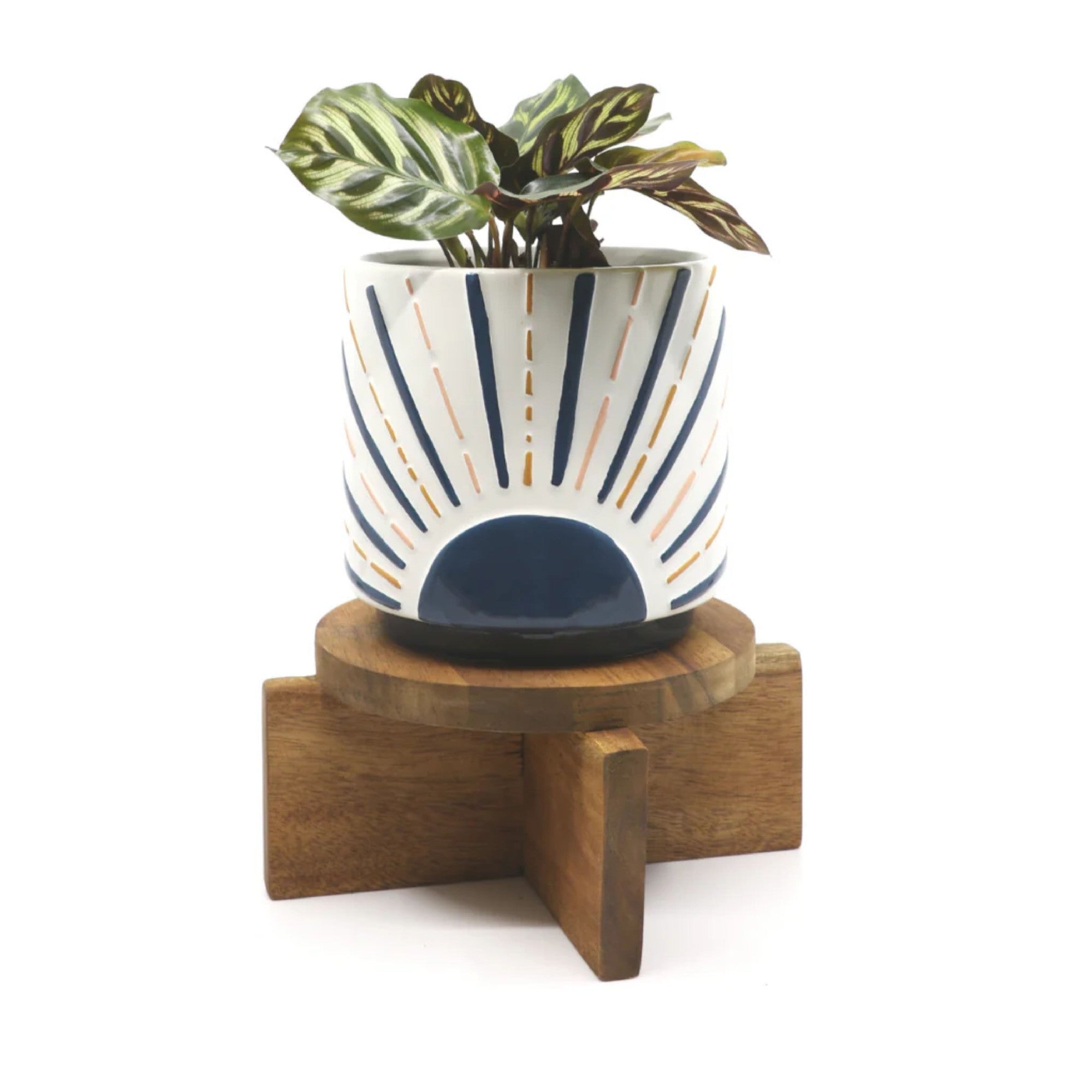 Callan Timber Pot Stand 15x9cm