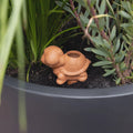 S/ Watering Terracotta Turtle