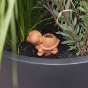 S/ Watering Terracotta Turtle