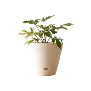 Northcote Pottery Leonard Self Watering Pot [sz:20x18cm Clr:white]