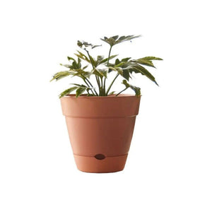 Northcote Pottery Leonard Self Watering Pot [sz:20x18cm Clr:brick]