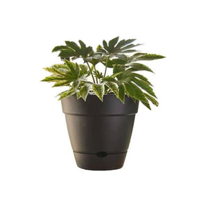 Northcote Pottery Leonard Self Watering Pot [sz:20x18cm Clr:black]