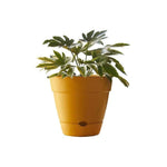 Load image into Gallery viewer, Northcote Pottery Leonard Self Watering Pot [sz:20x18cm Clr:black]
