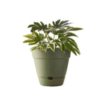 Load image into Gallery viewer, Northcote Pottery Leonard Self Watering Pot [sz:20x18cm Clr:black]
