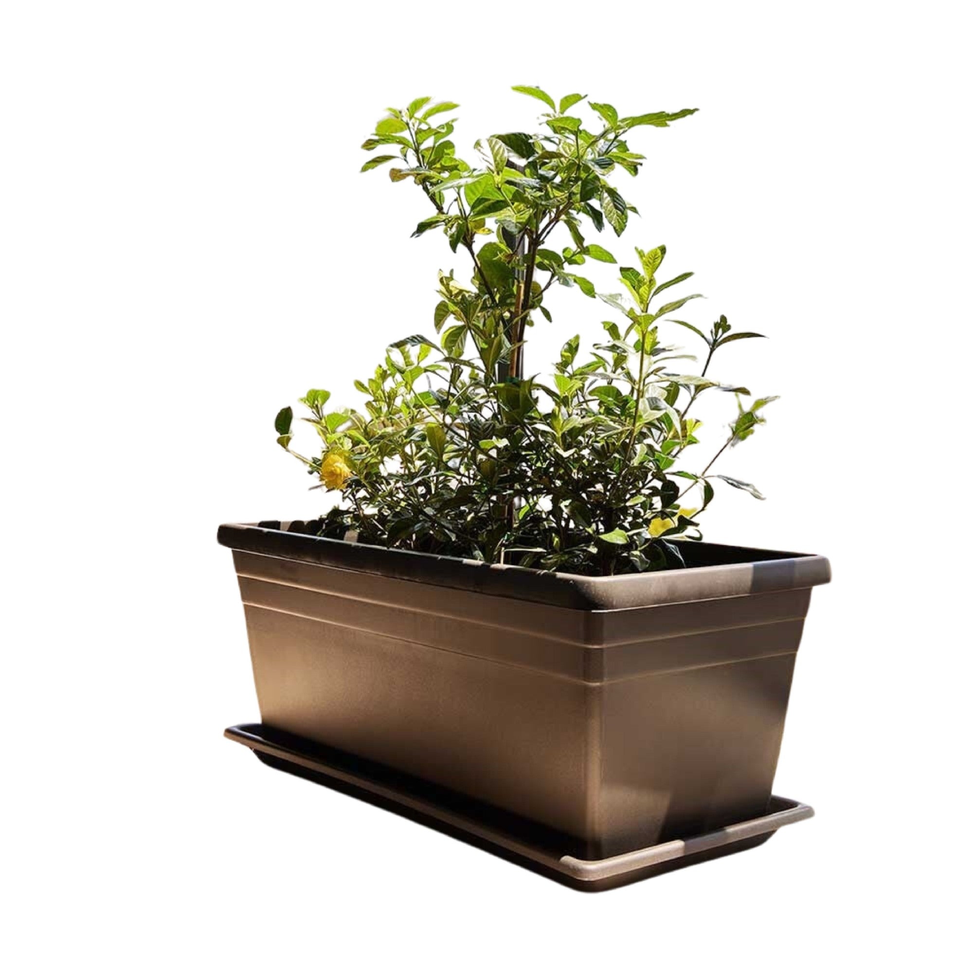 Plastic Trough Black 80cm