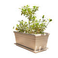Plastic Trough Grey 80cm