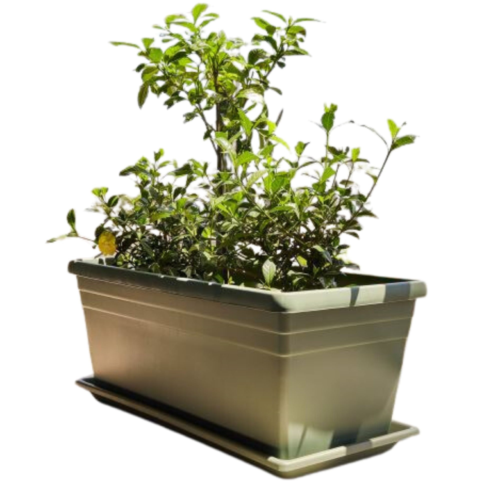 Plastic Trough Dark Green 80cm