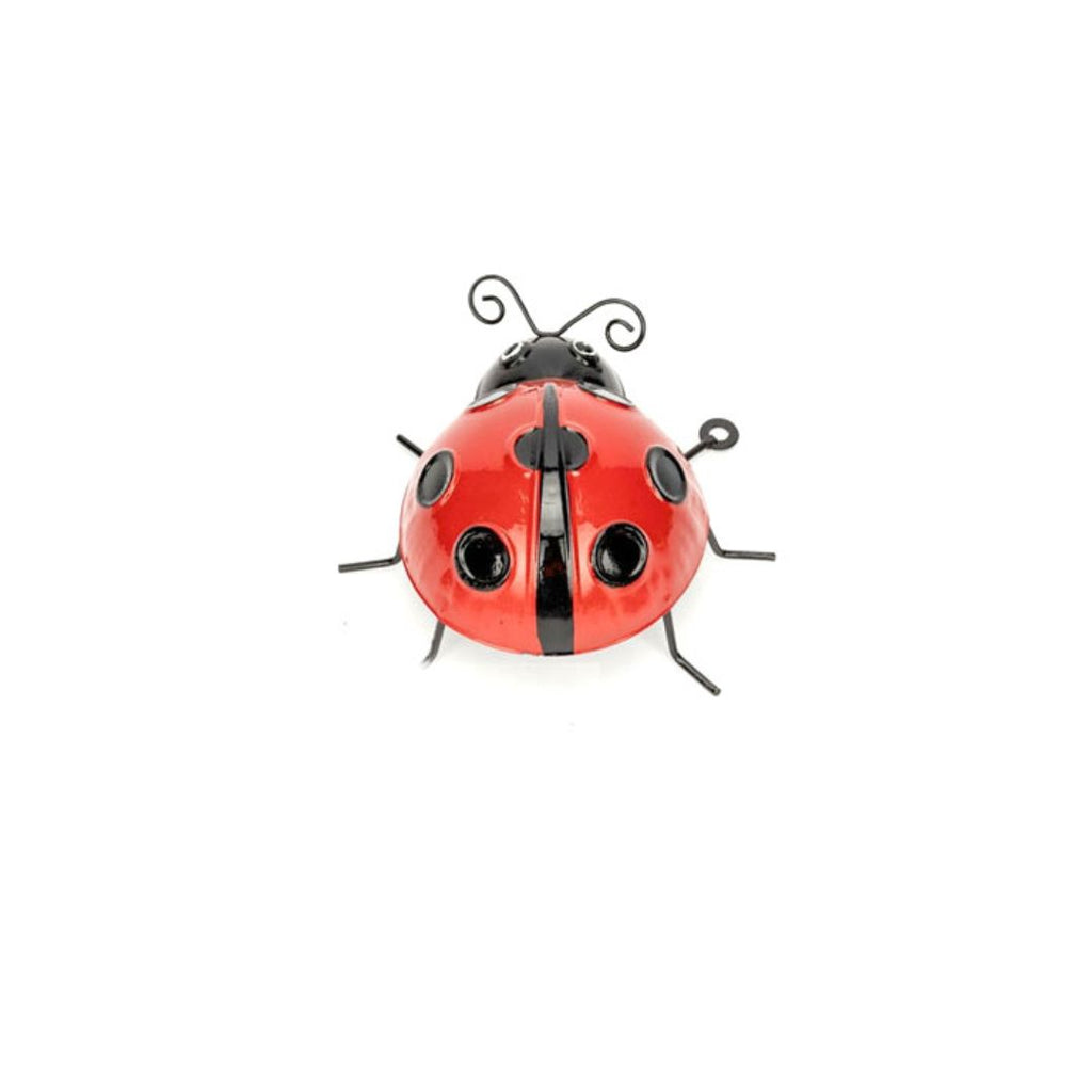 Ladybug Red Large 