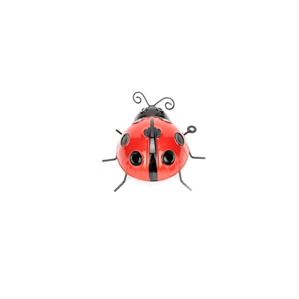 Ladybug Red Medium