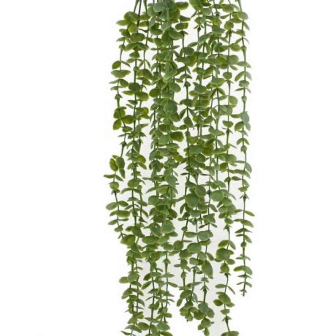 Windragon Eucalyptus Garland 78cm