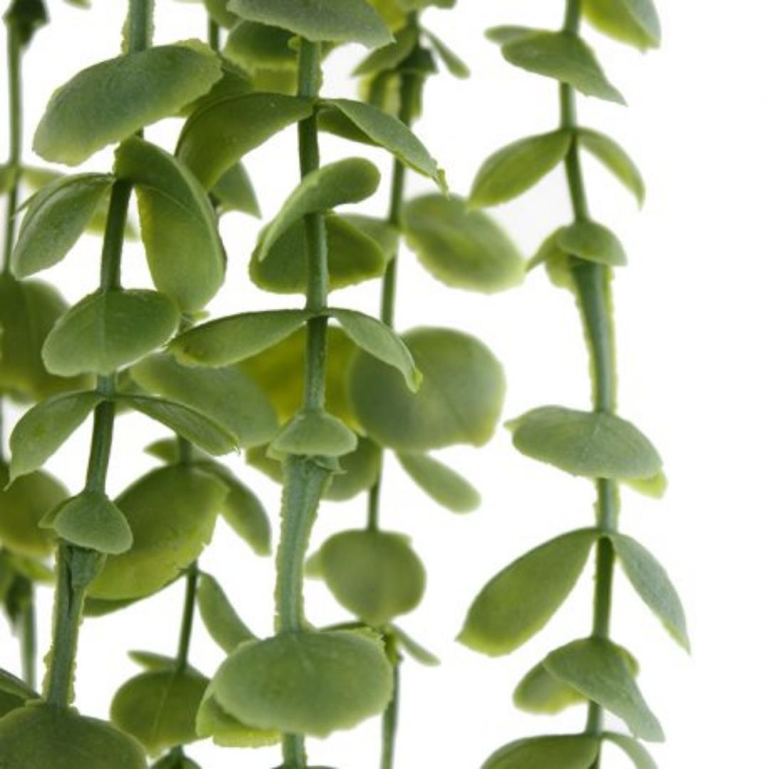 Windragon Eucalyptus Garland 78cm