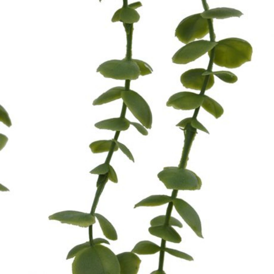 Windragon Eucalyptus Garland 78cm