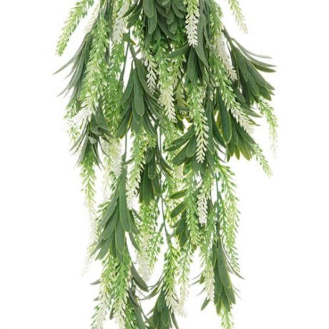 Windragon Lavender Hanging Bush Green White 84cm