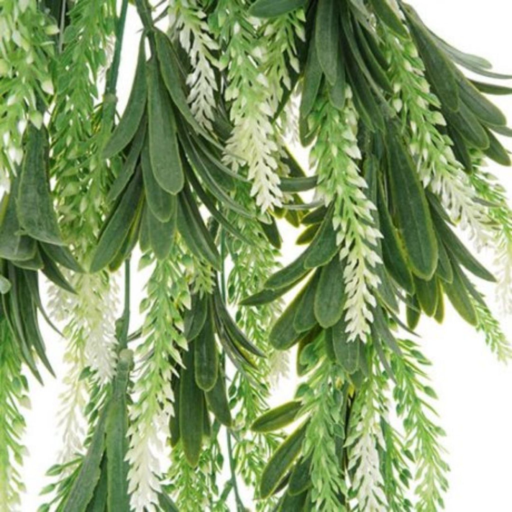 Windragon Lavender Hanging Bush Green White 84cm