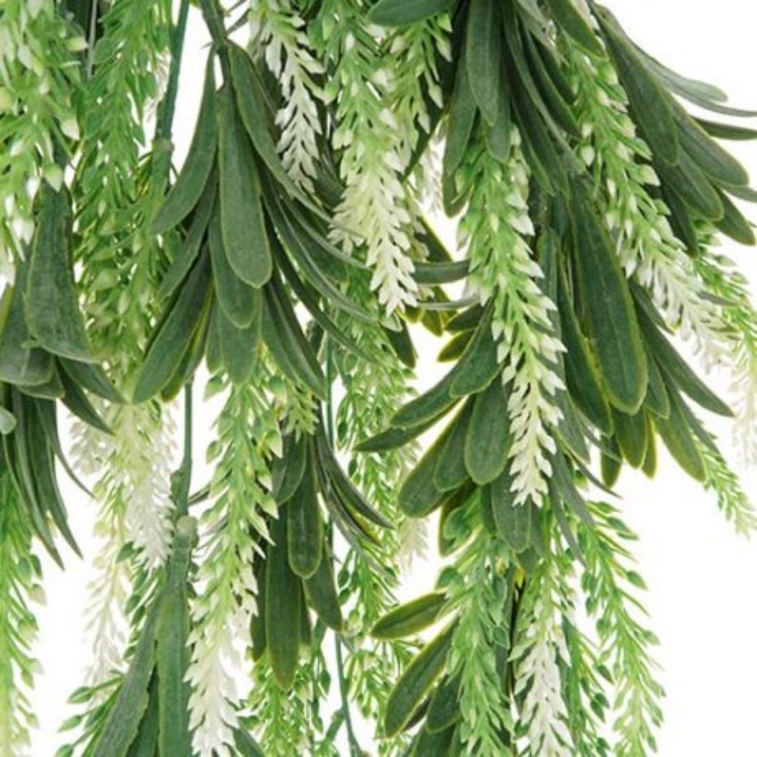 Windragon Lavender Hanging Bush Green White 84cm
