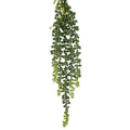 5h String Of Pearls 50cm 3