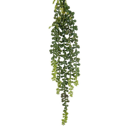 5h String Of Pearls 50cm 3