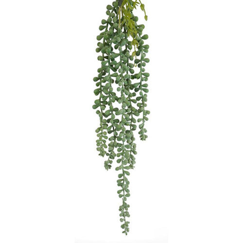5h String Of Pearls 50cm