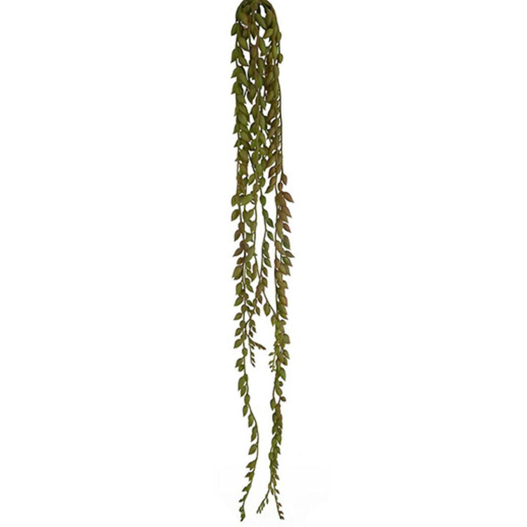 String Of Pearls 67cm .