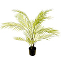 Areca Palm Tree 90cm