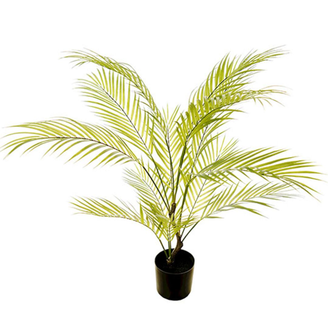 Areca Palm Tree 90cm