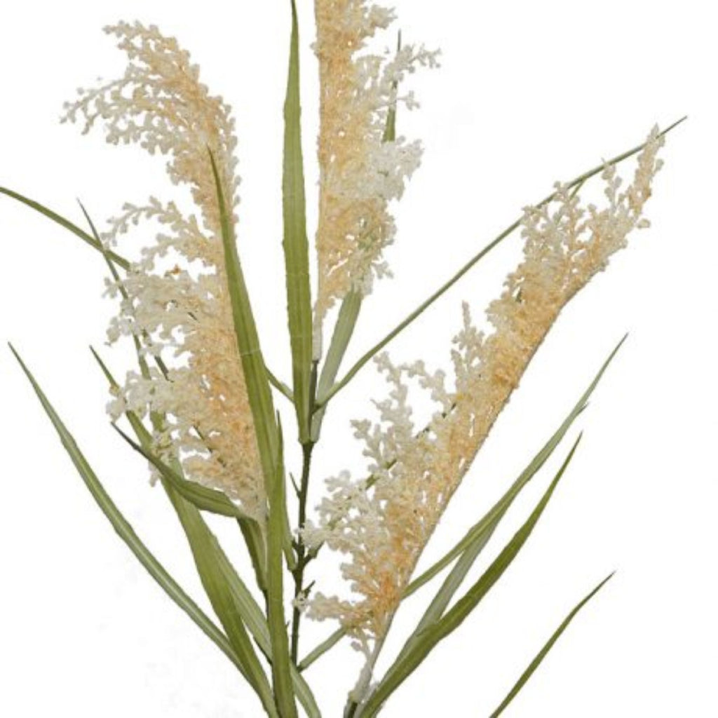 Pampas Grass Spray 80cm