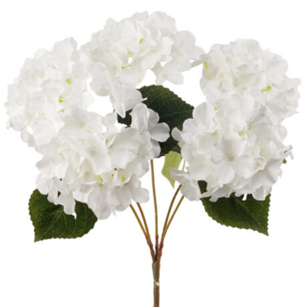 Windragon Hydrangea Bush White 45cm