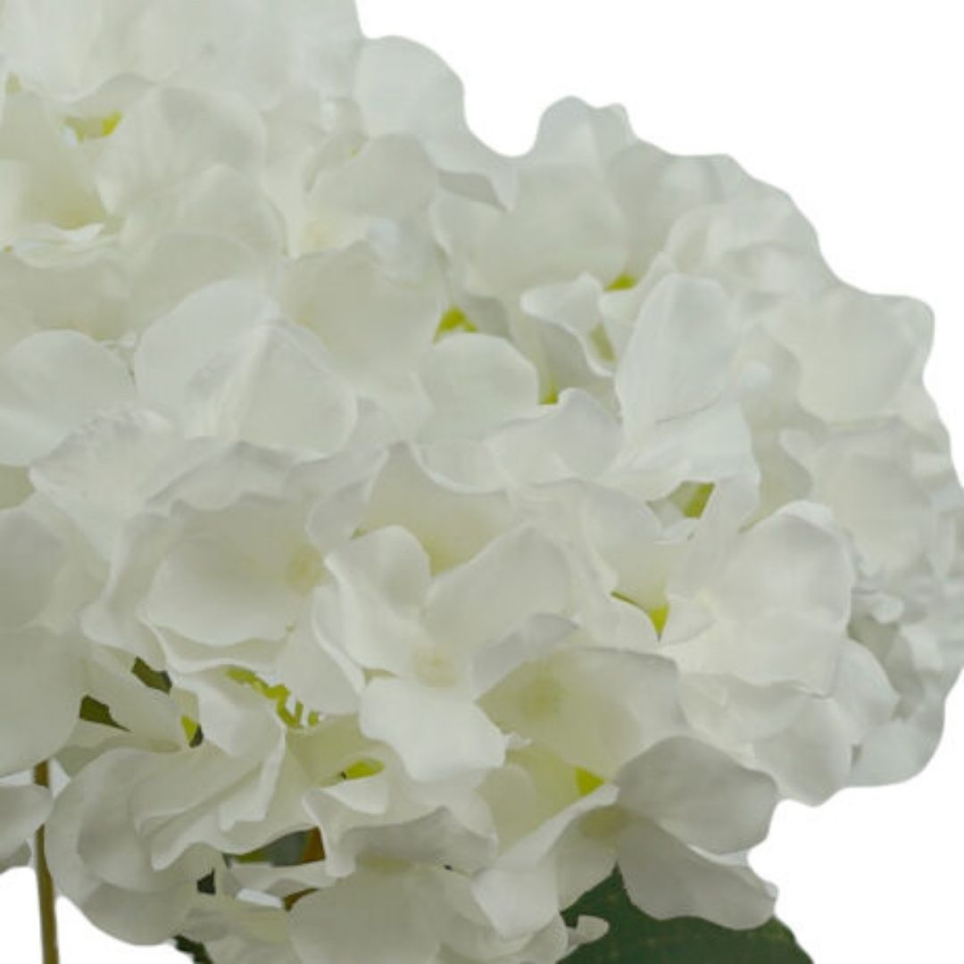Windragon Hydrangea Bush White 45cm
