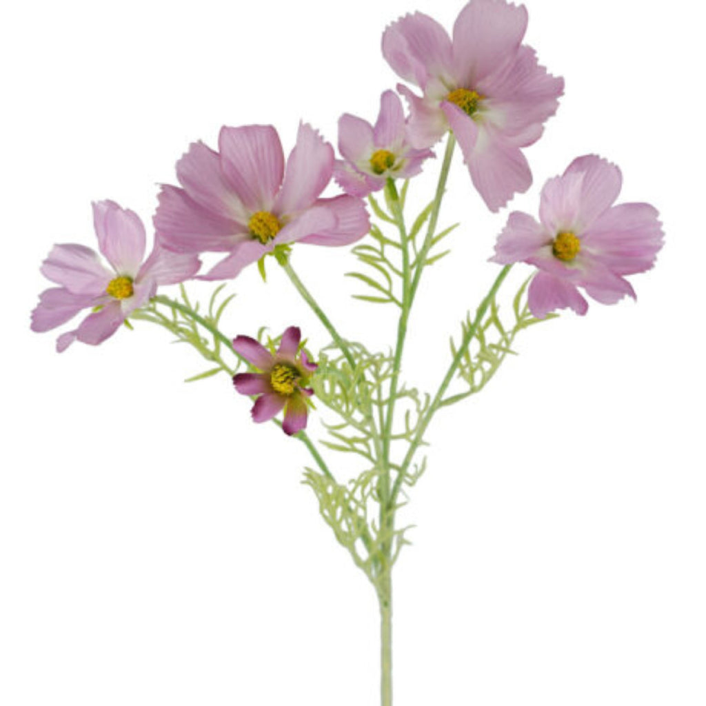 Cosmos Spray Pink 61cm