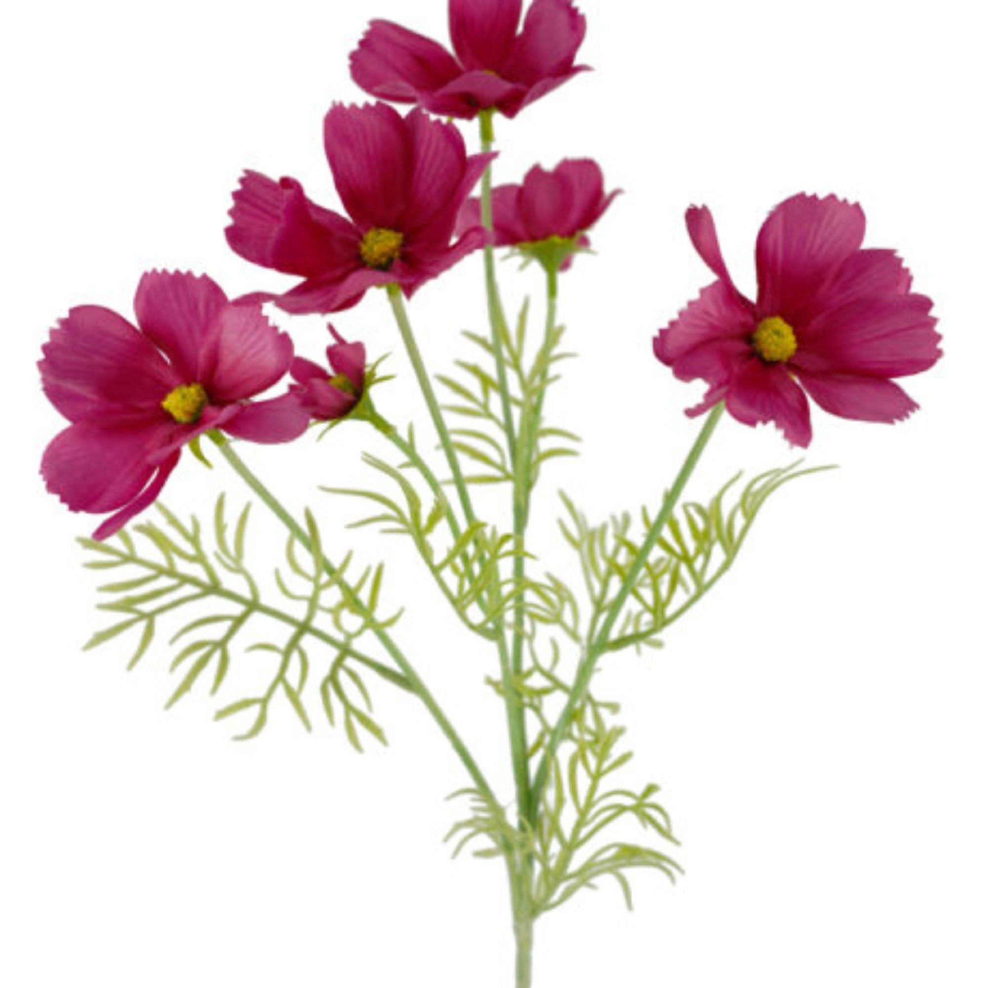 Cosmos Spray Hot Pink 61cm