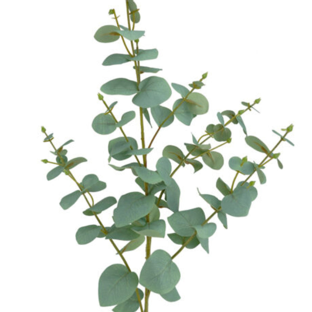 Eucalyptus Spray 100cm