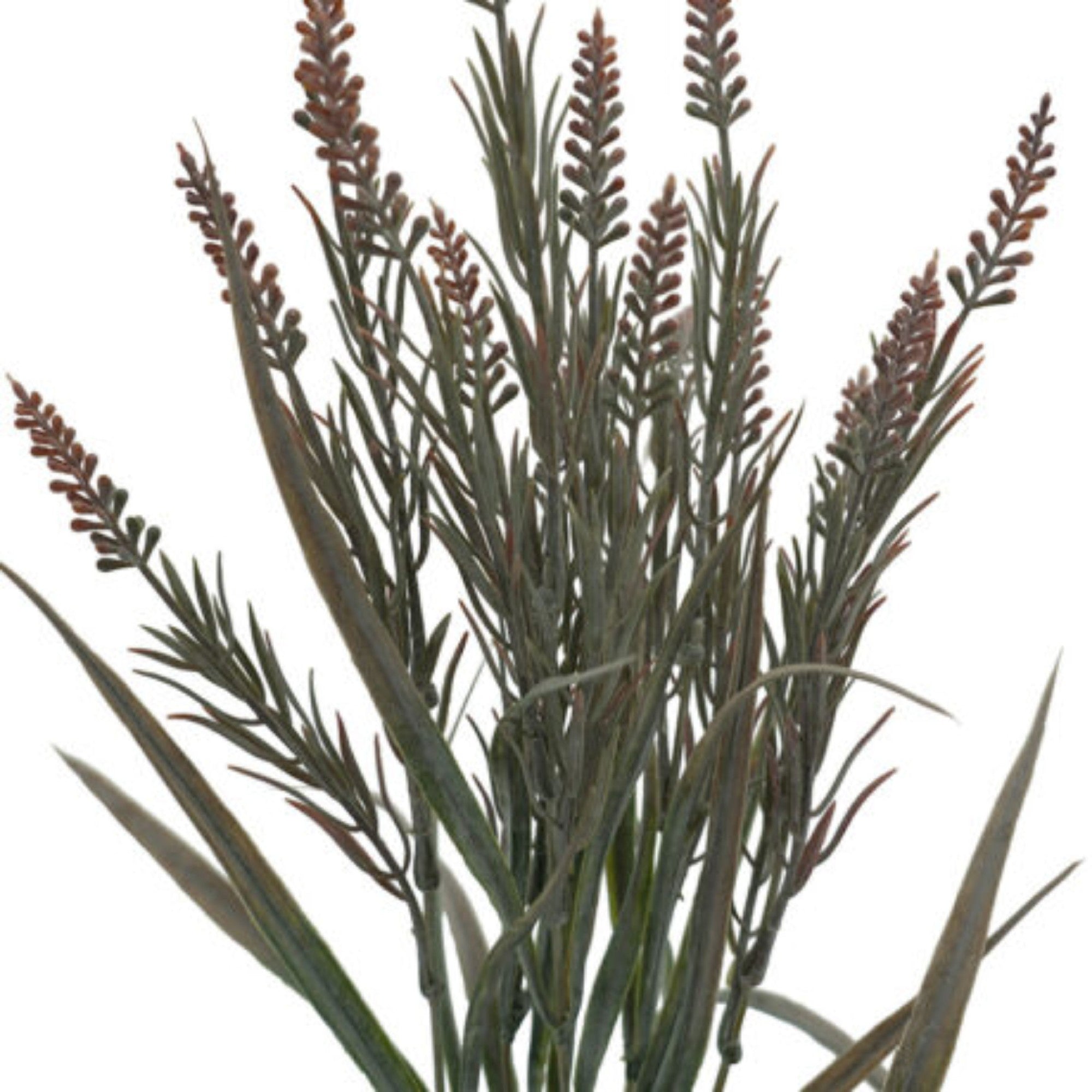 Dried Lavender 42cm